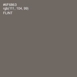 #6F6863 - Flint Color Image