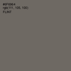 #6F6964 - Flint Color Image