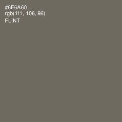 #6F6A60 - Flint Color Image