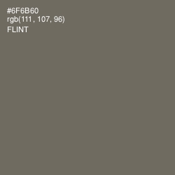 #6F6B60 - Flint Color Image