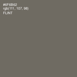 #6F6B62 - Flint Color Image