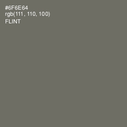 #6F6E64 - Flint Color Image