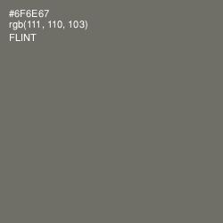 #6F6E67 - Flint Color Image