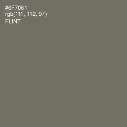 #6F7061 - Flint Color Image