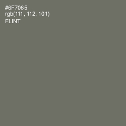 #6F7065 - Flint Color Image