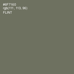 #6F7160 - Flint Color Image