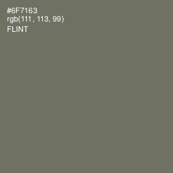 #6F7163 - Flint Color Image