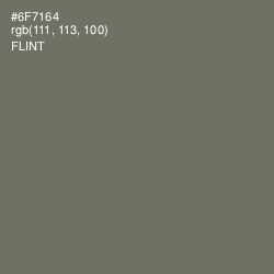 #6F7164 - Flint Color Image