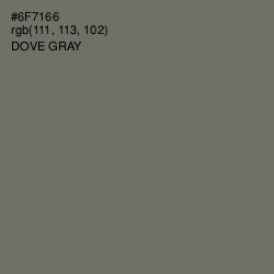 #6F7166 - Dove Gray Color Image