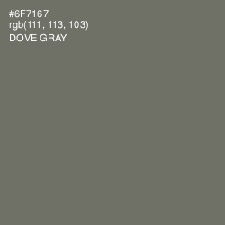 #6F7167 - Dove Gray Color Image
