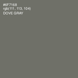 #6F7168 - Dove Gray Color Image