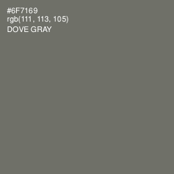 #6F7169 - Dove Gray Color Image