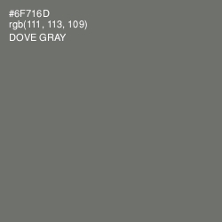 #6F716D - Dove Gray Color Image