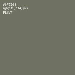 #6F7261 - Flint Color Image