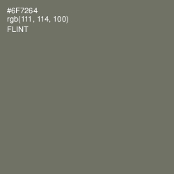 #6F7264 - Flint Color Image