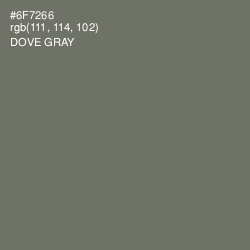 #6F7266 - Dove Gray Color Image