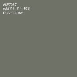 #6F7267 - Dove Gray Color Image