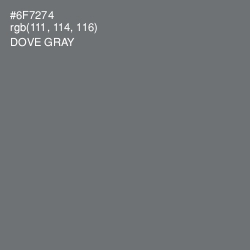 #6F7274 - Dove Gray Color Image