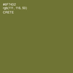 #6F7432 - Crete Color Image