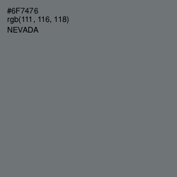 #6F7476 - Nevada Color Image