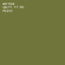 #6F753B - Pesto Color Image