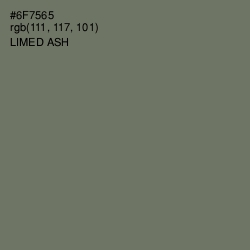 #6F7565 - Limed Ash Color Image