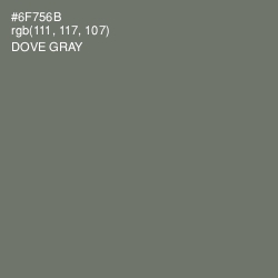 #6F756B - Dove Gray Color Image