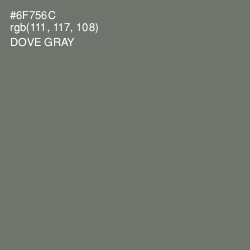 #6F756C - Dove Gray Color Image