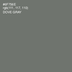 #6F756E - Dove Gray Color Image