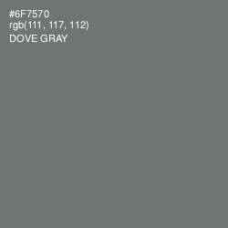 #6F7570 - Dove Gray Color Image