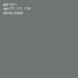 #6F7571 - Dove Gray Color Image