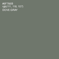 #6F766B - Dove Gray Color Image