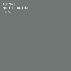 #6F7673 - Tapa Color Image