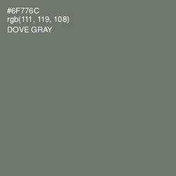 #6F776C - Dove Gray Color Image