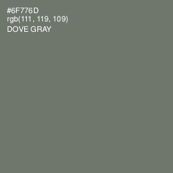 #6F776D - Dove Gray Color Image