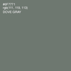 #6F7771 - Dove Gray Color Image