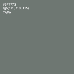 #6F7773 - Tapa Color Image