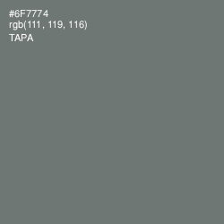 #6F7774 - Tapa Color Image