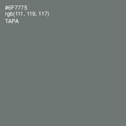 #6F7775 - Tapa Color Image