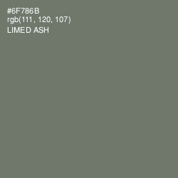 #6F786B - Limed Ash Color Image