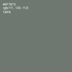 #6F7870 - Tapa Color Image