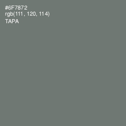 #6F7872 - Tapa Color Image