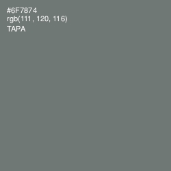 #6F7874 - Tapa Color Image