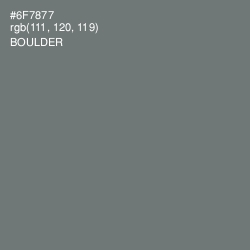 #6F7877 - Boulder Color Image