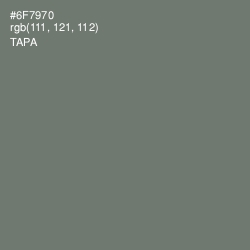 #6F7970 - Tapa Color Image