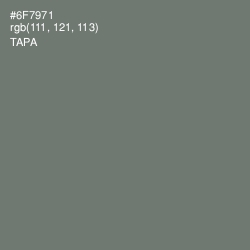 #6F7971 - Tapa Color Image