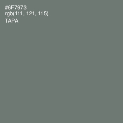 #6F7973 - Tapa Color Image