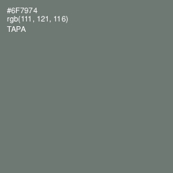 #6F7974 - Tapa Color Image