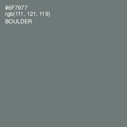 #6F7977 - Boulder Color Image