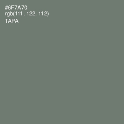 #6F7A70 - Tapa Color Image